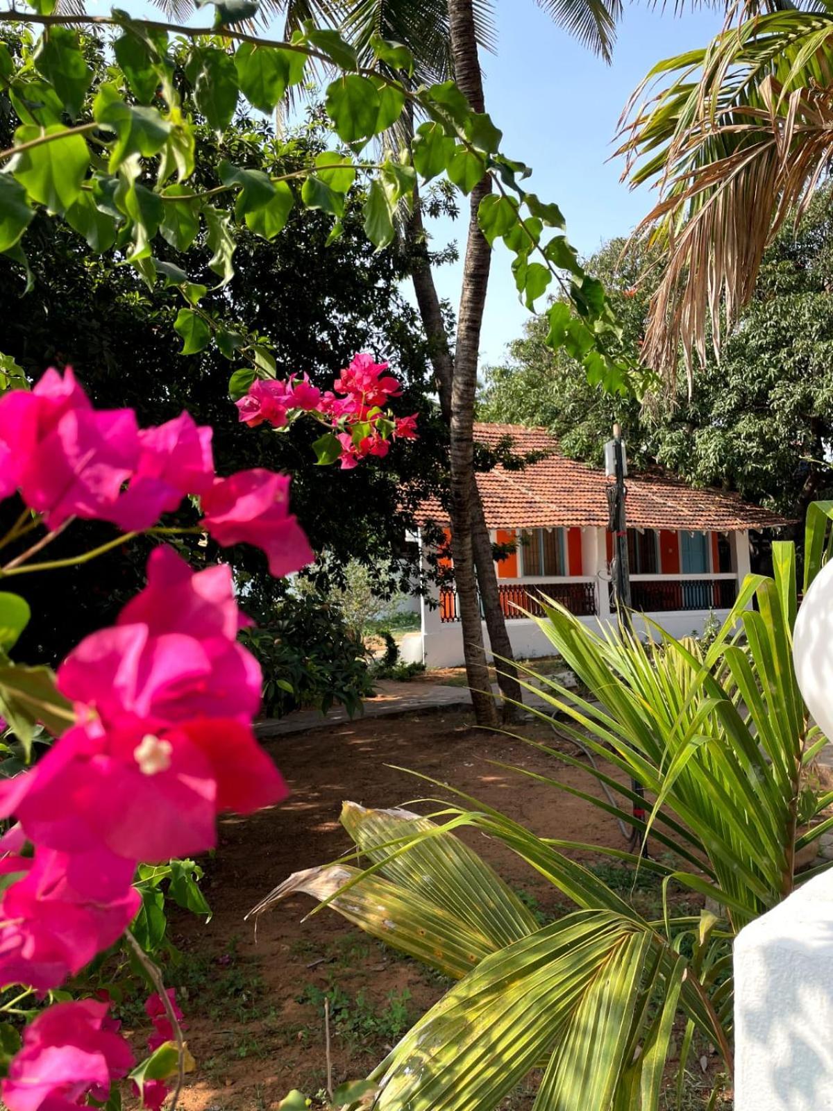 Papilio Beach Front Cottages-Tbv Baga Exterior foto
